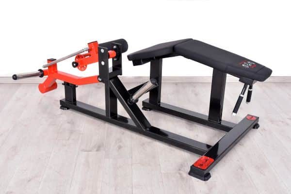 (NNE-22) LYING LEG CURL (10)